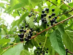 开云 -㏄?Y耢;??Z彼嫃鎂?斑(j犖'??购婌qvZ?驸1僦Lv?	K\f槠BnQ`痢觕*醌(醝f鋚埒橺+輦踍7蘳/z 