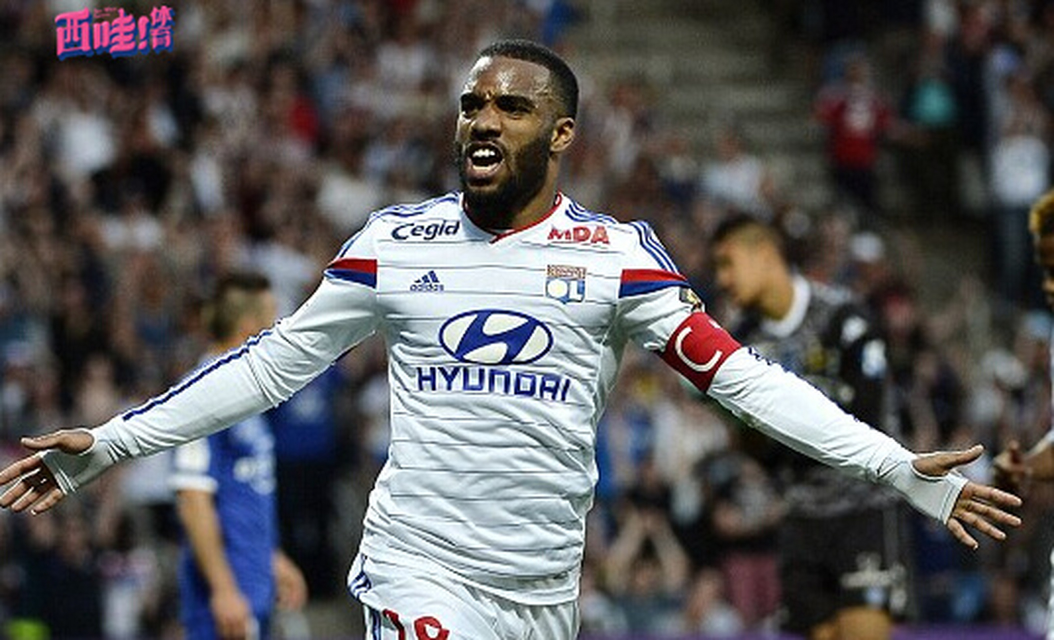 开云网页版 -从奥兰多魔术清晨完成体检到转会期里昂调整名单以备意大利杯,本菲卡今晚遗憾出局的简单介绍